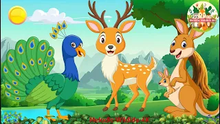 Wild Animal Sounds In Nature: Peacocks, Kangaroos, Deer - Music For Relax
