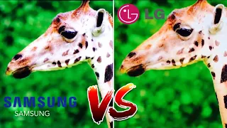 LG VS  SAMSUNG - DUELO DE TVS  55 4K