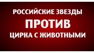 Российские звёзды против цирка с животными - 1