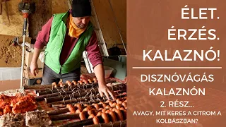 Élet. Érzés. Kalaznó! - Disznóvágás Kalaznón 2. rész...avagy, mit keres a citrom a kolbászban?