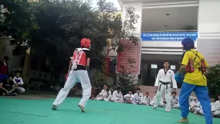 Vovinam vs Teawondo