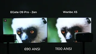 Wanbo X5 versus Egate O9 Pro Zen | 2023 Best Projector in India Under Rs 30000 - Part 1