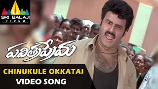 Pavitra Prema Video Songs | Chinukule Okkatai Video Song | Balakrishna, Laila | Sri Balaji Video