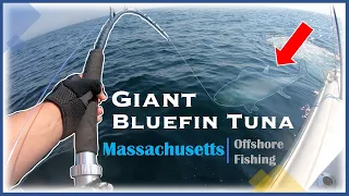 Fishing for Giant Bluefin Tuna in Massachusetts