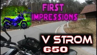 V Strom 650 First impressions.