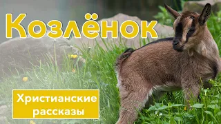 🔴Козлёнок - ИНТЕРЕСНЫЙ ХРИСТИАНСКИЙ РАССКАЗ | Христианские рассказы