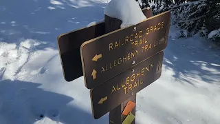 Day 28. Snow on the Alleghany Trail. California Chrome's American Discovery Trail Thru-hike.