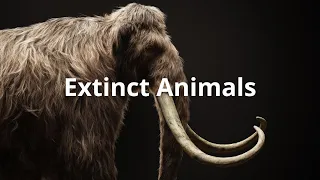 20 Extinct Animals That Are Gone Forever