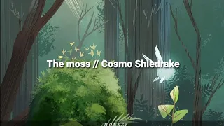 The moss//Cosmo Sheldrake (Sub. Español)