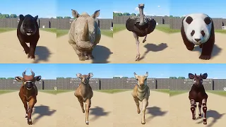 Grassland Animals Speed Races in Planet Zoo | Animals Racing