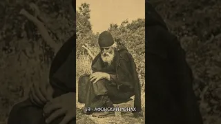 Котенок смирил старца Паисия Святогорца #факты #православие #чудеса #смирение