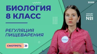 Регуляция пищеварения. Видеоурок 23. Биология 8 класс