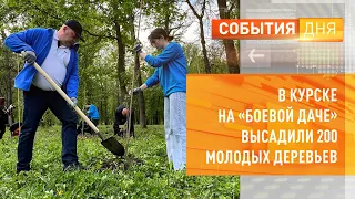 В Курске на Боевой даче высадили 200 молодых деревьев