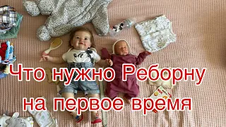 Что нужно Реборну на первое время