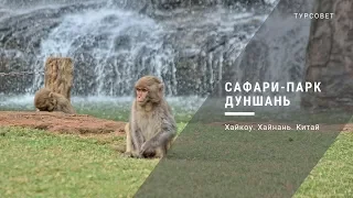 Сафари-парк Дуншань в Хайкоу. Хайнань. Китай