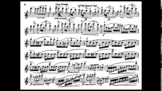 Dvorak, A.L. mvt1 violin concerto