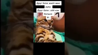 меми#143