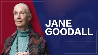 Interview with animal rights activist Jane Goodall