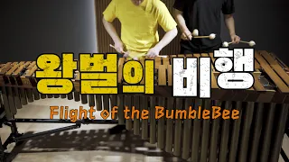 ※속도위반주의※ 왕벌의 비행(Flight of the Bumblebee) - Pulse Marimba Cover
