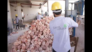 Sana Naturals Himalayan Pink Salt Manufacturers from Pakistan