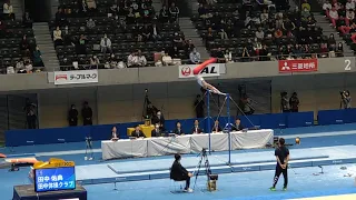 田中佑典選手の美しすぎる鉄棒