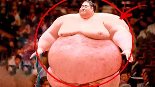 Die Schwersten Sumo-Ringer. Wozu Sind Diese Jungs Fähig?