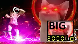 the battle cat big OP POP CAT