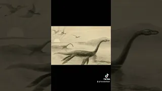 The #Loch #Ness #Monster, or #Nessie