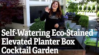 Self-Watering Eco-Stained Elevated Planter Box Cocktail Garden