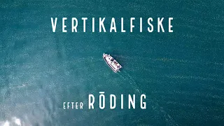 Vi provar på det tidiga rödingfisket | Vertikalfiske på Vättern