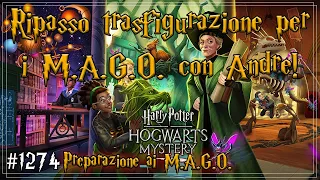 Ripasso trasfigurazione per i M.A.G.O. con Andre! - Hogwarts Mystery ita Anno 7 M.A.G.O. #1274