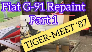RC Scale Jet/ Fiat G-91 Pan Repaint Part 1/ Portuguese Tiger-Meet markings
