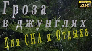 👉 Гроза и проливной Дождь в джунглях. Для крепкого Сна, отдыха и учебы