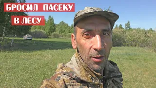 БРОСИЛ ПАСЕКУ В ЛЕСУ. ЭТО НЕВЫНОСИМОЕ ПЧЕЛОВОДСТВО