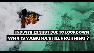 Industries Shut Due to Lockdown. So Why is Yamuna Still Frothing?