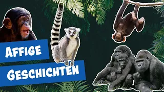 Neues von den Affen aus dem Zoo Berlin I Panda, Gorilla & Co.