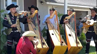 Duelo de grupos de arpas😱 estos 4 grupos tocarán 1 canción y un huapango - Jose Torres 2023