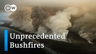 Australia bushfires - a national catastrophe | DW News