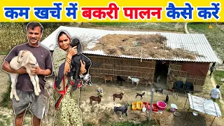 कम खर्चे में बकरी पालन कैसे करें | kam kharch me bakri farm kaise banaye