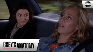 Amelia and Teddy Decide To Be Friends - Grey's Anatomy Season 15 Episode 25