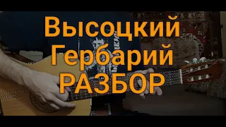 Владимир Высоцкий "Гербарий" РАЗБОР песни на гитаре правильные аккорды и бой кавер