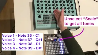 How to Midi control Perkons by Erica Synths (example with Deluge)