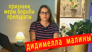 Дидимелла малины. Симптомы и меры борьбы.