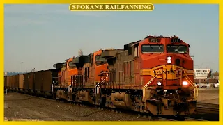 RS3L, Fakebonnet Leader, and More at North Park - 4/14/24