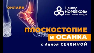 Открытый вебинар "Плоскостопие и осанка" с Анной Сечкиной 4 февраля в 18:00