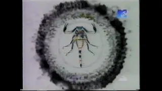 Заставки телеканала (MTV Russia, 2000)