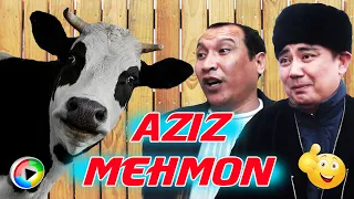 Kulgu bekati. Aziz mehmon.