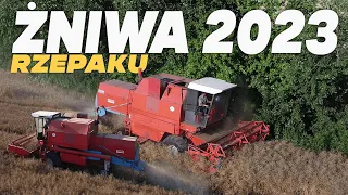 🇵🇱🔥Pierwsze żniwa w okolicy! Żniwa Rzepaku 2023 NA LUBELSZCZYŹNIE!🔥 BIZON REKORD Z058!㋛︎ Ciapek TEAM