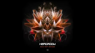 Headroom - Acid Trip Advisor | Full Album