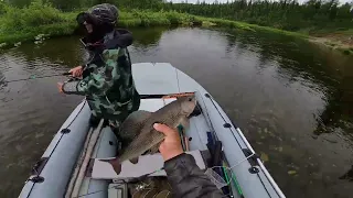 Рыбалка.За трофейным хариусом.Часть третья.Fishing. For trophy grayling. Part three.